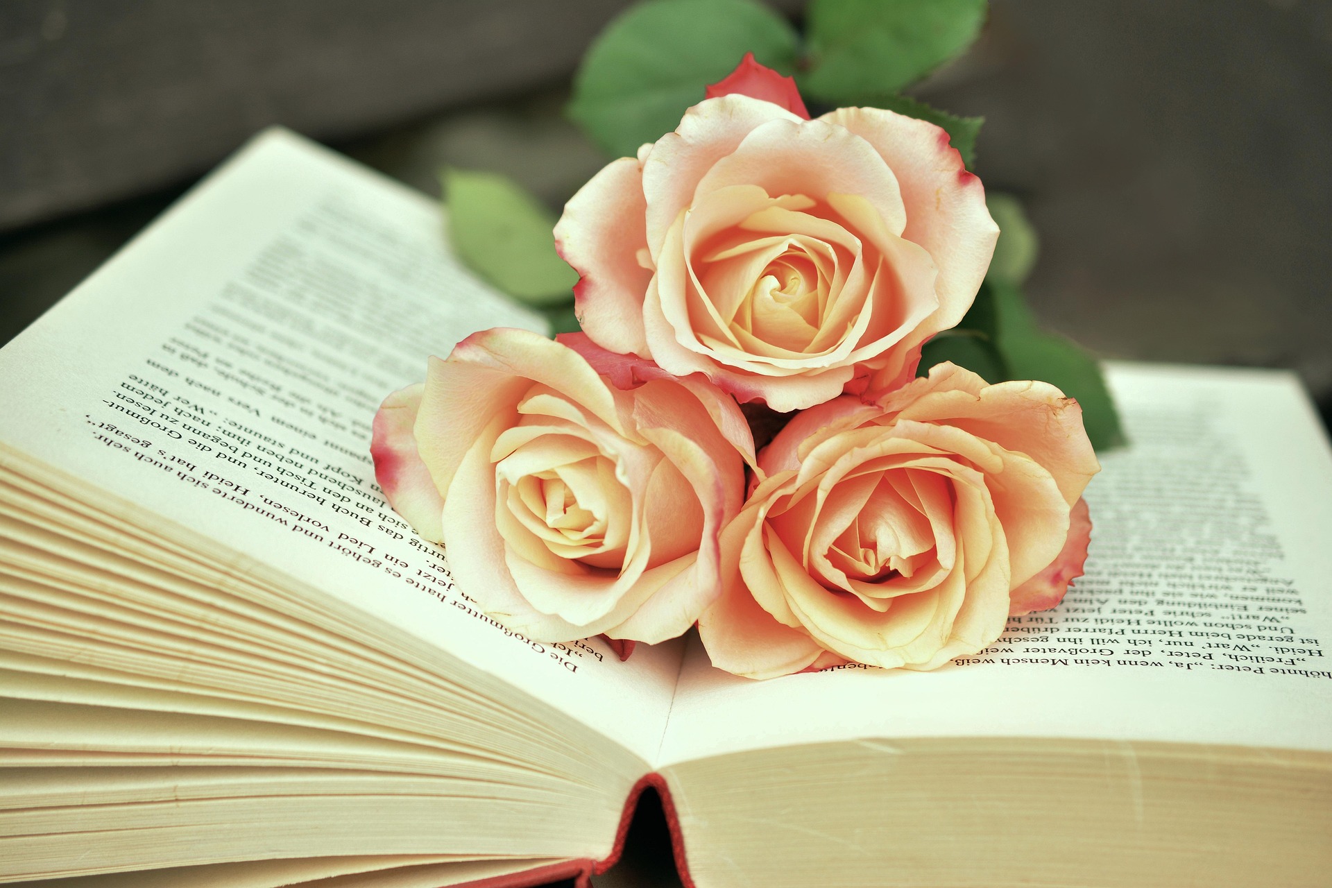 Libro de poesía Archipiélago